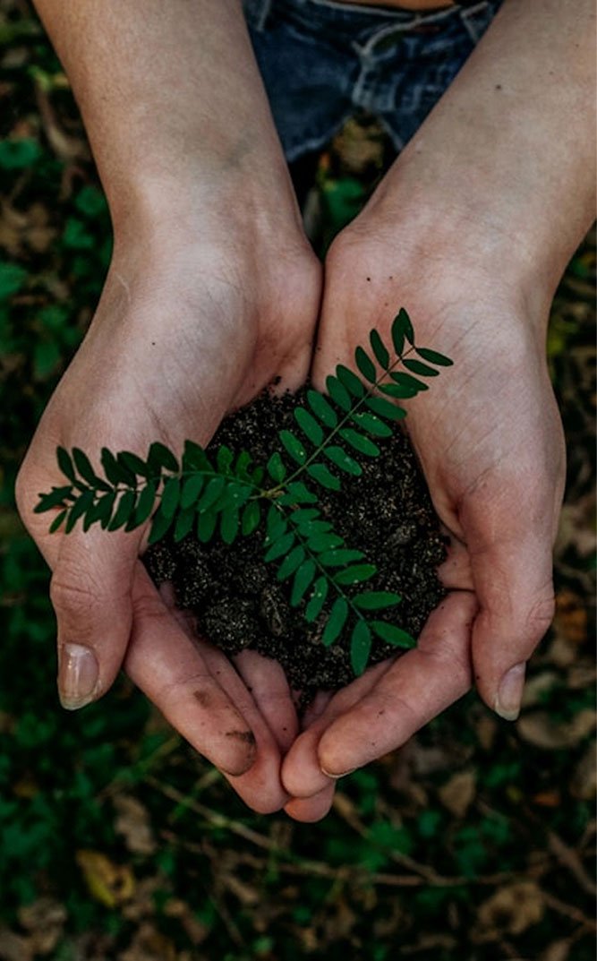 Our Vision A Movement For Sustainability